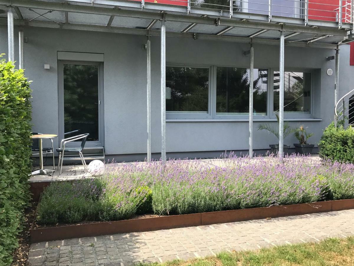 Wander- Und Aktivchalet Birkenfeld  Exterior foto